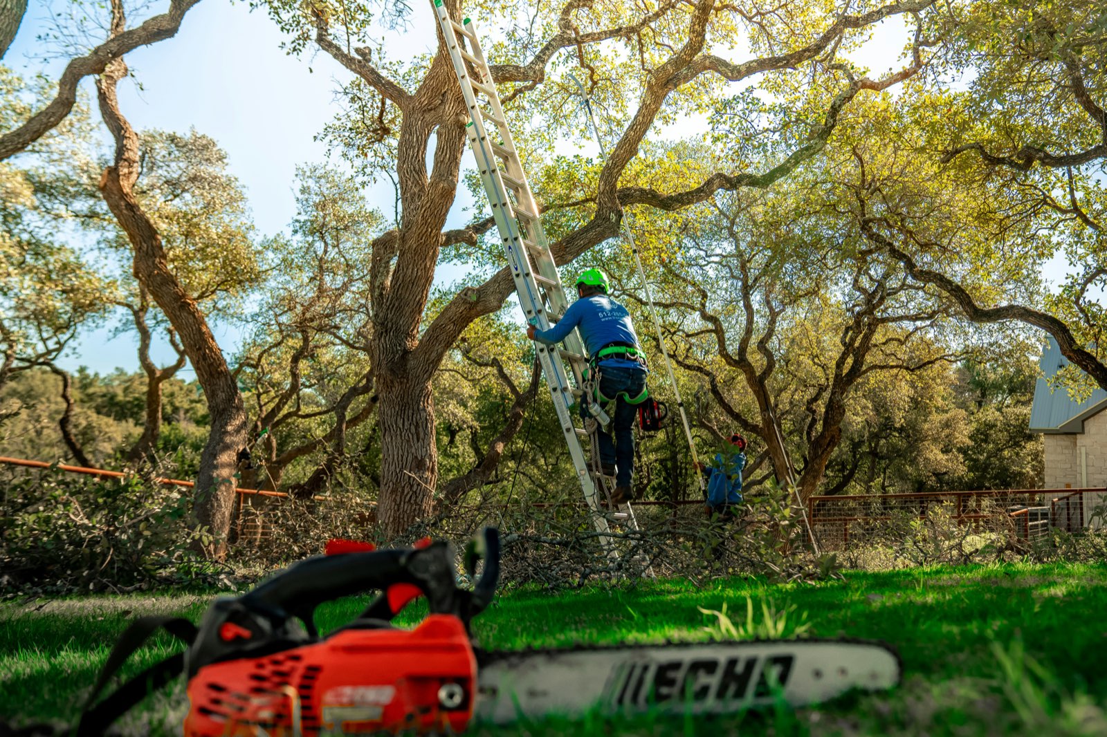 Brock's Tree Service crew performing tree work in St. Louis area